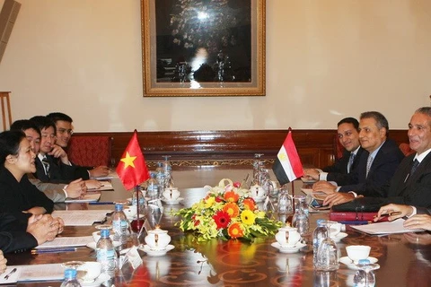 Consultation politique entre la vice-ministre des AE du Vietnam et le ministre égyptien des AE. (Photo: Phuong Hoa/VNA)